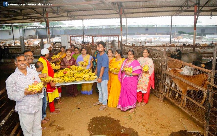 Feeding Holy Cows at Goshamahals, Hyderabad on 08.09.2017