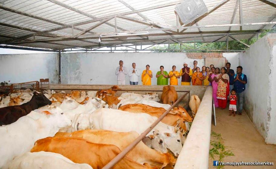 Feeding Holy Cows at Goshamahals, Hyderabad on 08.09.2017